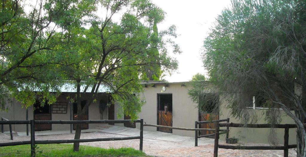 Pine Tree Lodge Midrand Exterior foto